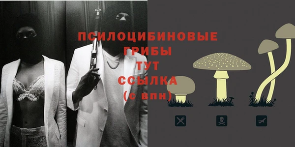 мескалин Алексин