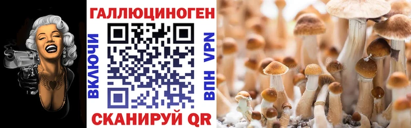hydra как зайти Хвалынск Псилоцибиновые грибы прущие грибы купить